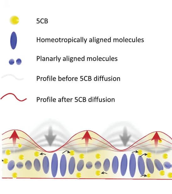 Open access visualization of Illustration, 5CB diffusion, Polymerization, Profile change