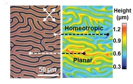 Open access visualization of Heatmap, Microscopy, Photo, POM image, Interferometer measurements