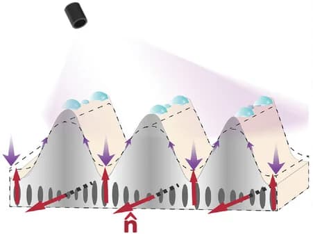 Open access visualization of Illustration, LCN Fingerprint Ridges, Liquid Secretion, UV Illumination