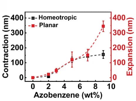 Open access visualization of Line Plot, Error Bars, Contraction, Homeotropic Regions, Expansion