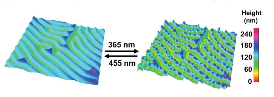Open access visualization of 3D Plot, Digital Holographic Microscopy, 3D Profiles, Perspiration, Reverse Perspiration