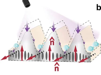Open access visualization of Illustration, LCN, Fingerprint Valleys, UV Illumination