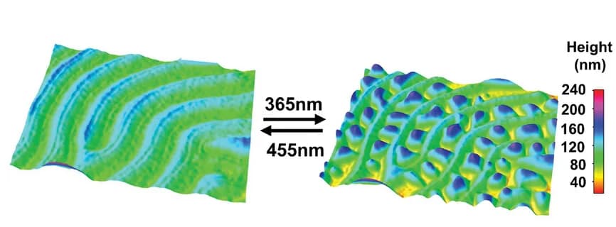 Open access visualization of 3D Plot, 3D Profiles, Perspiration, Reverse Perspiration, LCN Fingertip