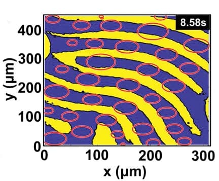 Open access visualization of Microscopy, Image Analysis, Droplet Tracking, Fingerprint Ridges, Fingerprint Valleys
