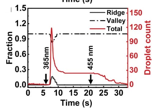 Open access visualization of Line Plot, Droplet Counts, LCN, Fingerprint Ridges, Fingerprint Valleys