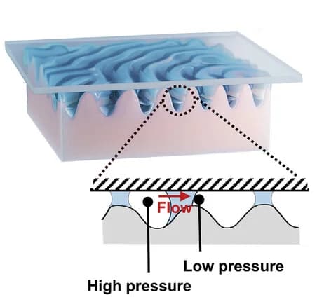 Open access visualization of Illustration, Capillary Bridging, LCN Fingerprint, Planar Surface, Wetting Liquid Bridges
