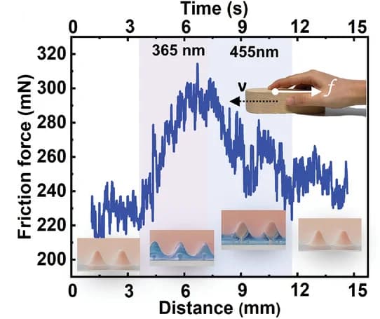 Open access visualization of Line Plot, Dynamic Friction Force, Coating, Glass Plate, Light Stimulation