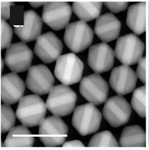 Open access visualization of Microscopy, Tetrahedra, Pinwheel Packing
