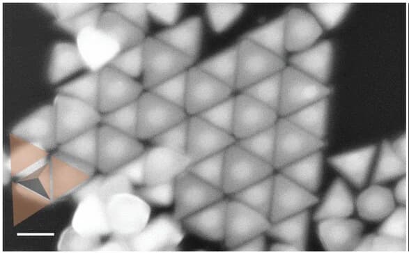 Open access visualization of Microscopy, Scanning Electron Microscopy, SEM Image
