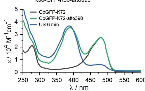 Open access visualization of Line Plot, Absorption Spectra, CpGFP-K72, CpGFP-K72-atto390, Sonication