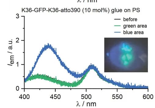 Open access visualization of Line Plot, Photo, Emission Spectra, K36-GFP-K36-atto390, GFP