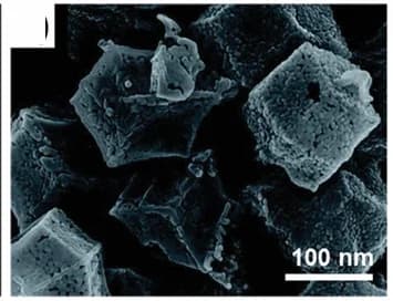 Open access visualization of Microscopy, SEM, Co3O4, Direct Oxidation