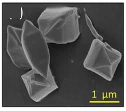 Open access visualization of Microscopy, SEM Images, Ce-TCA, Morphologies, Concentration