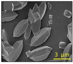 Open access visualization of Microscopy, SEM Images, Ce-TCA, Morphologies, Concentration