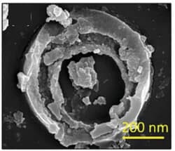 Open access visualization of Microscopy, SEM Images, CeO2-x Products