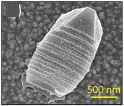 Open access visualization of Microscopy, SEM Images, CeO2-x Products