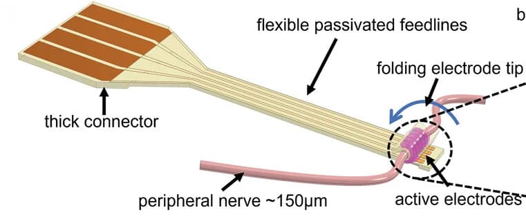 Open access visualization of Illustration, Cuff Electrode, Contact Pads, Foldable Tip, Nerve