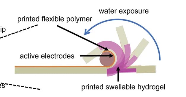 Open access visualization of Illustration, Workflow, Electrode Tip, Layers, Folding