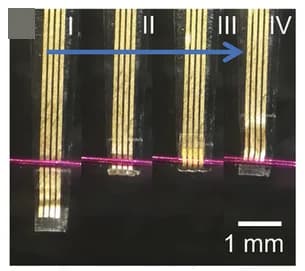 Open access visualization of Photo, Electrode, Wire, Wrapping