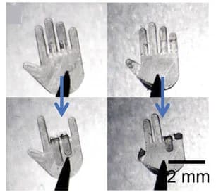 Open access visualization of Photo, Folding, Fingers, Hand, Water Exposure