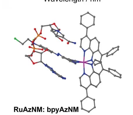 Open access visualization of Chemical Structure, DFT energy-converged structures, NADH, RuNH2, RuAzNM