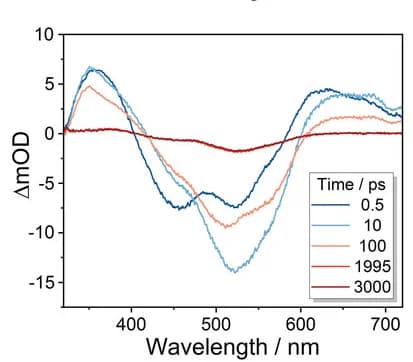 Open access visualization of Line Plot, fs-TA spectra, RuAzNM