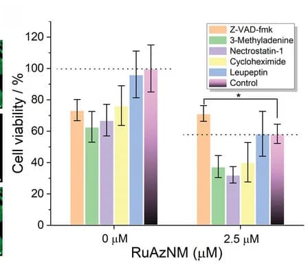 Open access visualization of Bar Plot, Error Bars, Clustered, HepG2 Cells, Cell Viability