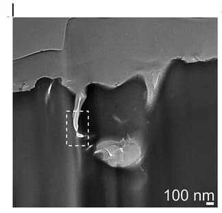 Open access visualization of Microscopy, TEM Images, Focal Volume, Two-Pulse Exposure