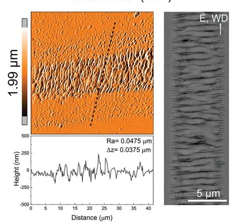 Open access visualization of Microscopy, Line Plot, Atomic Force Microscopy, Surface Nanostructures, Back-Scattered Electron Image