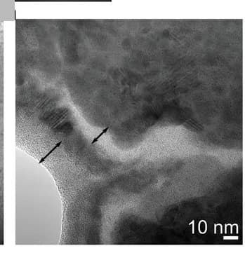 Open access visualization of Microscopy, TEM Image, Nanostructures, Volume