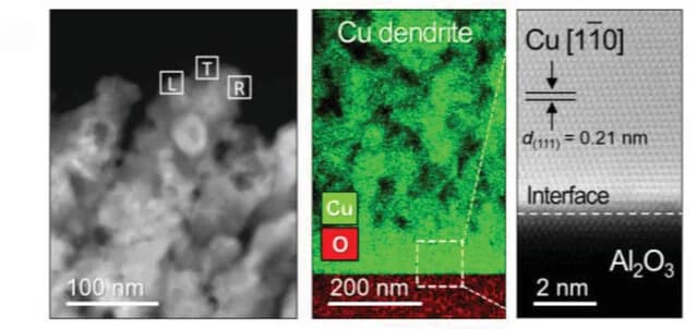 Open access visualization of Microscopy, ADF-STEM Image, Elemental Maps, Copper, Oxygen