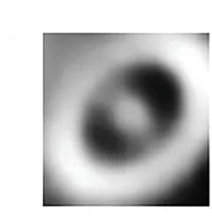 Open access visualization of Microscopy, Phase images, Hopfion, Tilt