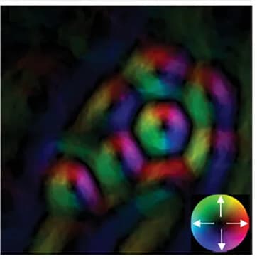 Open access visualization of Microscopy, B-field Map, Fractional Hopfion, Skyrmion, Lorentz TEM