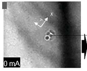 Open access visualization of Microscopy, Lorentz TEM Images, Current Pulse, FeGe