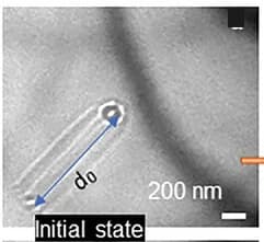 Open access visualization of Microscopy, Electric Current, Elastic Deformation, Fractional Hopfion Bundles