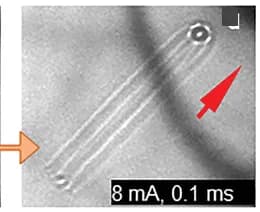 Open access visualization of Microscopy, Electric Current, Elastic Deformation, Fractional Hopfion Bundles