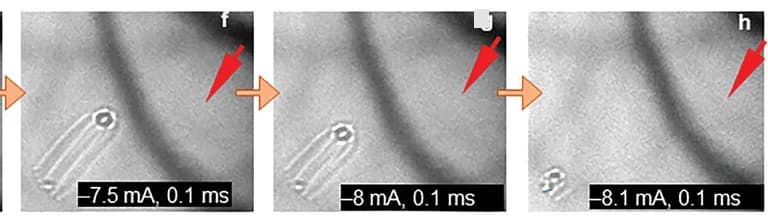 Open access visualization of Microscopy, Electric Current, Elastic Deformation, Fractional Hopfion Bundles