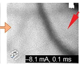 Open access visualization of Microscopy, Electric Current, Elastic Deformation, Fractional Hopfion Bundles