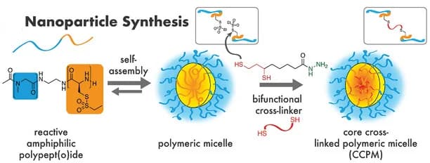 Open access visualization of Workflow, Illustration, Polymeric Micelles, Self-Assembly, Cross-linking