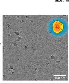 Open access visualization of Microscopy, Illustration, Cryo-EM, Micromixer-CCPMs