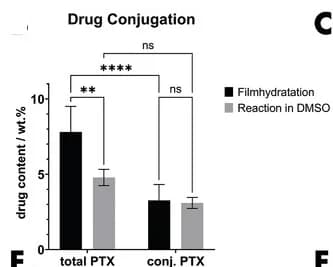 Open access visualization of Bar Plot, Error Bars, Clustered, Quantification, PTX
