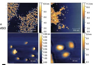 Open access visualization of Microscopy, AFM Images, PTX@CCPMs, Particle Morphology