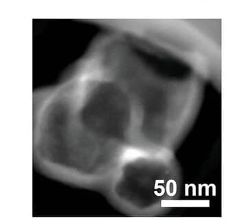 Open access visualization of Microscopy, HAADF Image