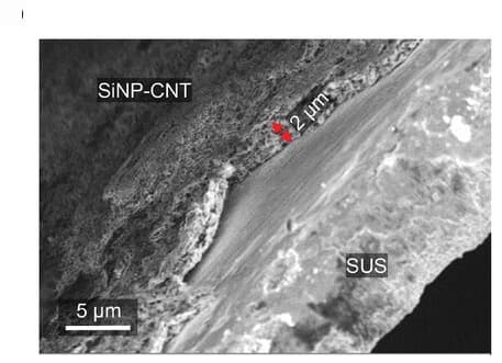 Open access visualization of Microscopy, SEM Images, Cross-Sectional