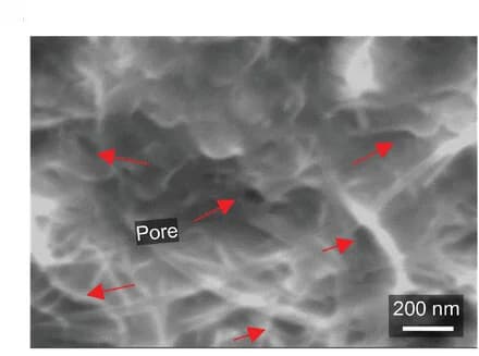 Open access visualization of Microscopy, SEM Image, Top-View, Pores