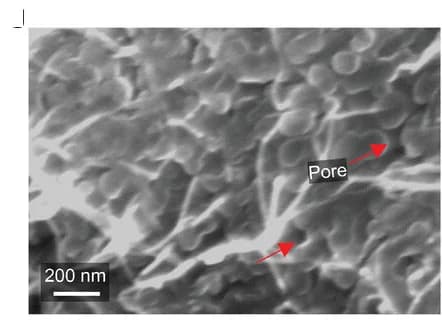 Open access visualization of Microscopy, SEM Image, Top-View, Pores