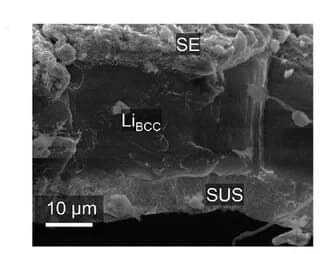 Open access visualization of Microscopy, SEM images, Cross-sectional, Li deposition
