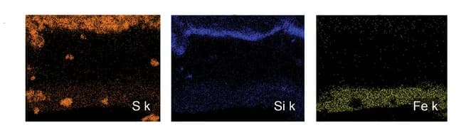 Open access visualization of Microscopy, EDS mapping