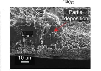 Open access visualization of Microscopy, SEM images, Cross-sectional, Li deposition