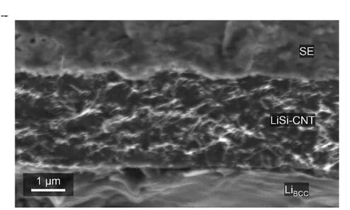 Open access visualization of Microscopy, Cross-sectional SEM, LiBCC, SiNP-CNT, SE